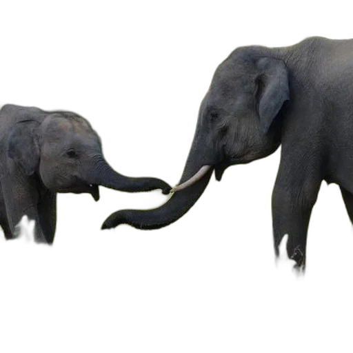 animal, 3d render, concept art, photorealistic transparent PNG cut-out