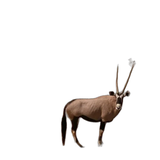 animal, staff, weapon, creature transparent PNG cut-out