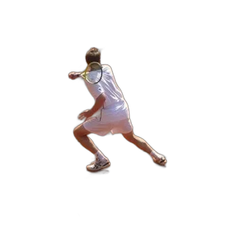 staff, shoes, creature, animal transparent PNG cut-out