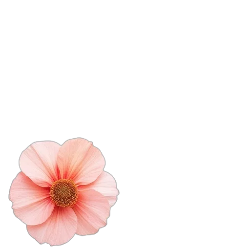 flower, crown, hat, dress transparent PNG cut-out