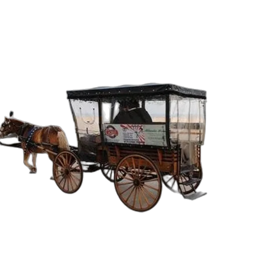 car, furniture, animal, staff transparent PNG cut-out