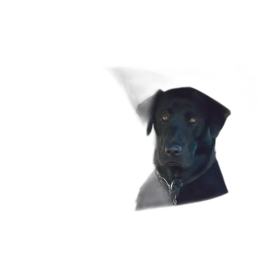 hat, staff, animal, face transparent PNG cut-out
