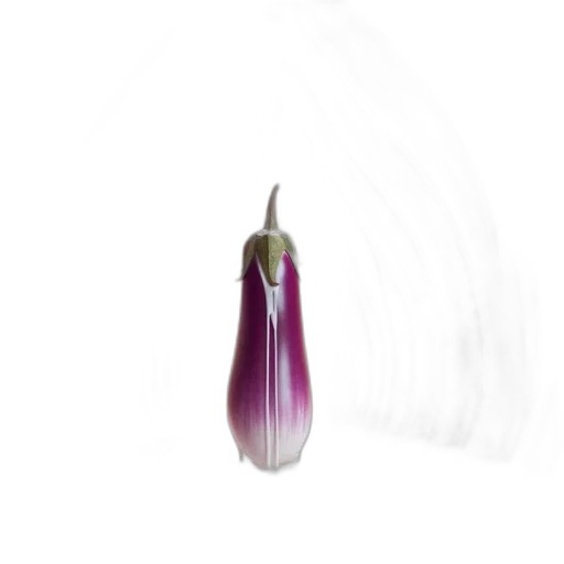 flower, food, crown, weapon transparent PNG cut-out
