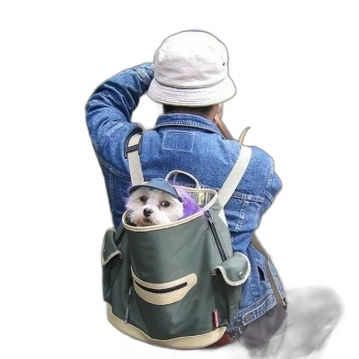 hat, jacket, staff, animal transparent PNG cut-out