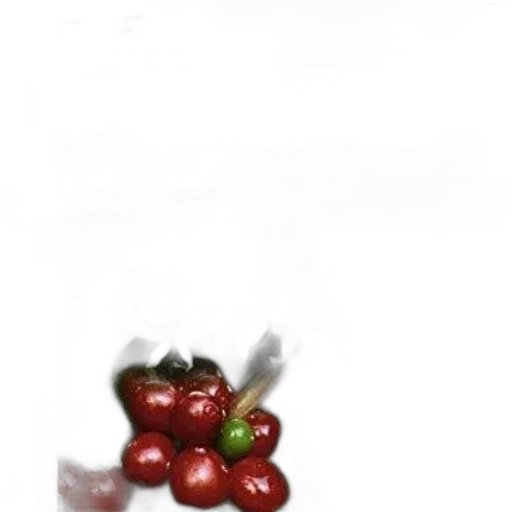food, crown, jewelry, flower transparent PNG cut-out