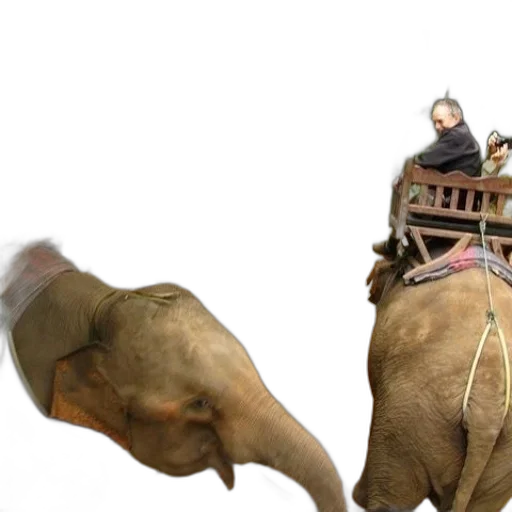 animal, creature, car, concept art transparent PNG cut-out