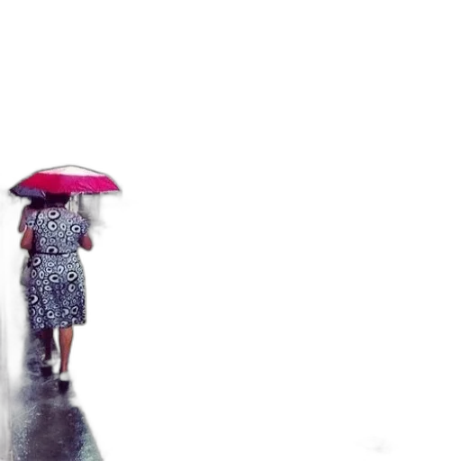 umbrella, dress, hat, jacket transparent PNG cut-out