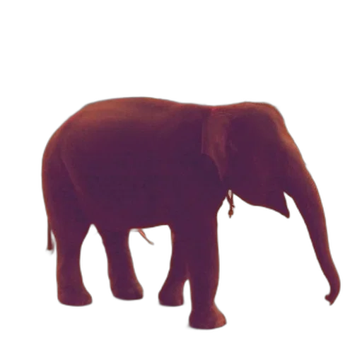 animal, creature, staff, jewelry transparent PNG cut-out