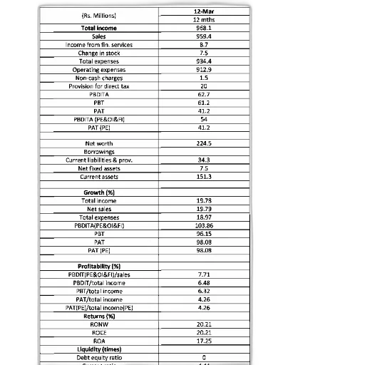 financial, report, table, format transparent PNG cut-out