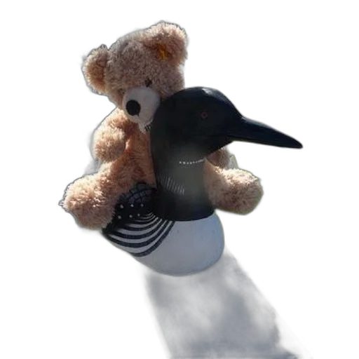 hat, animal, bottle, robot transparent PNG cut-out
