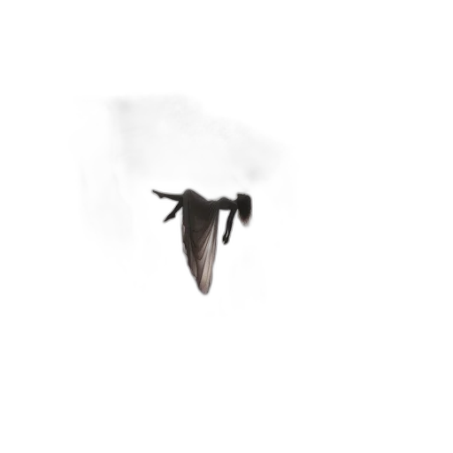 animal, shoes, umbrella, creature transparent PNG cut-out