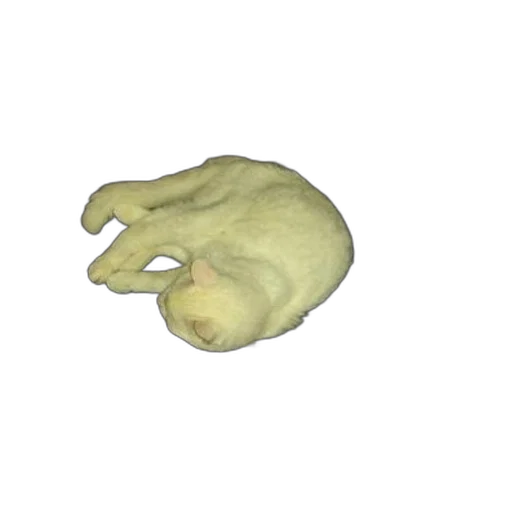mask, animal, face, food transparent PNG cut-out