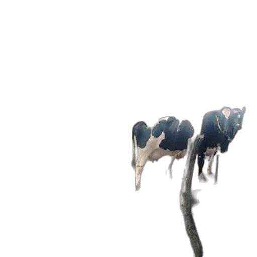 animal, creature, crown, hair transparent PNG cut-out