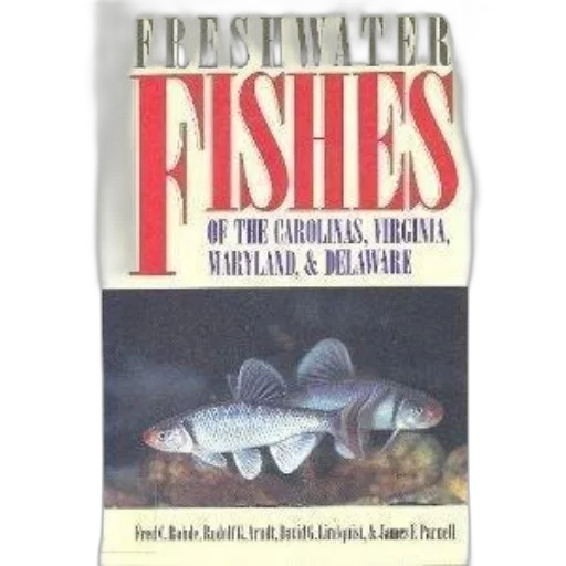 underwater, cover, freshwater, fishes transparent PNG cut-out