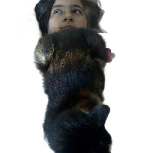 creature, animal, hair, staff transparent PNG cut-out