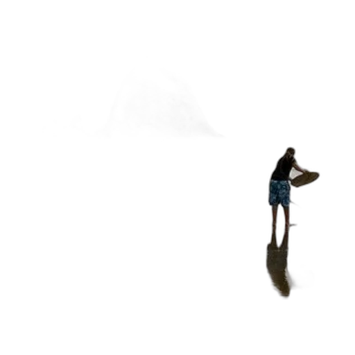 umbrella, animal, creature, staff transparent PNG cut-out