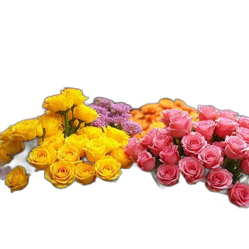 flower, crown, jewelry, food transparent PNG cut-out