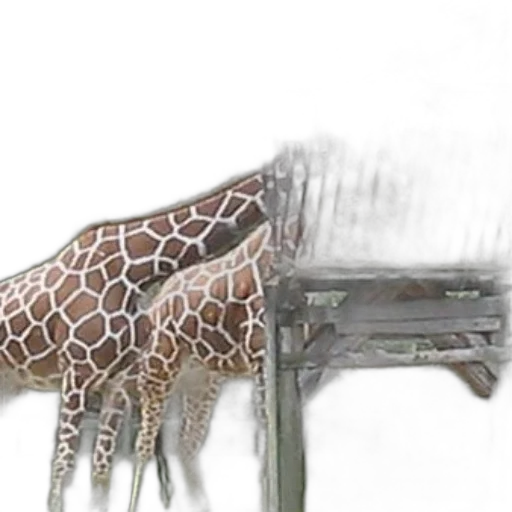 animal, staff, furniture, umbrella transparent PNG cut-out