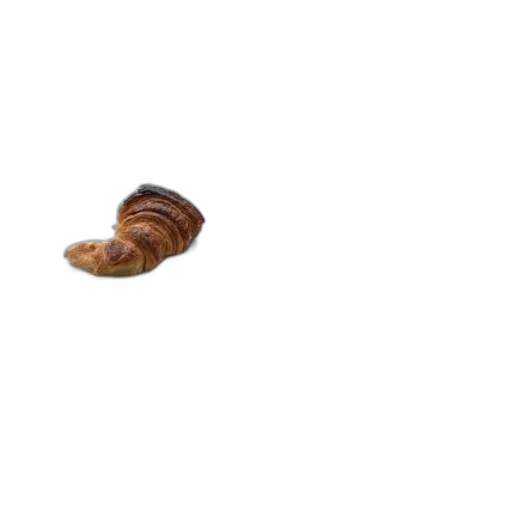 food, animal, hair, shoes transparent PNG cut-out