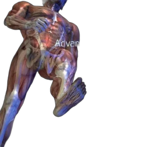 creature, animal, robot, weapon transparent PNG cut-out