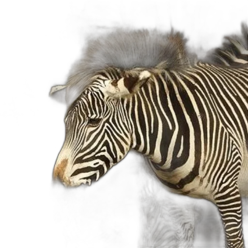 animal, creature, photorealistic, 3d render transparent PNG cut-out