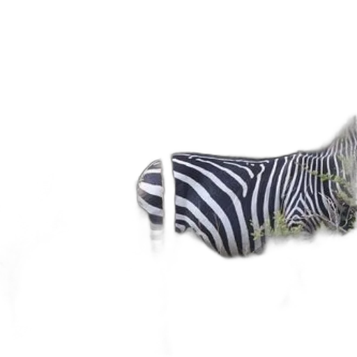 shoes, animal, umbrella, dress transparent PNG cut-out