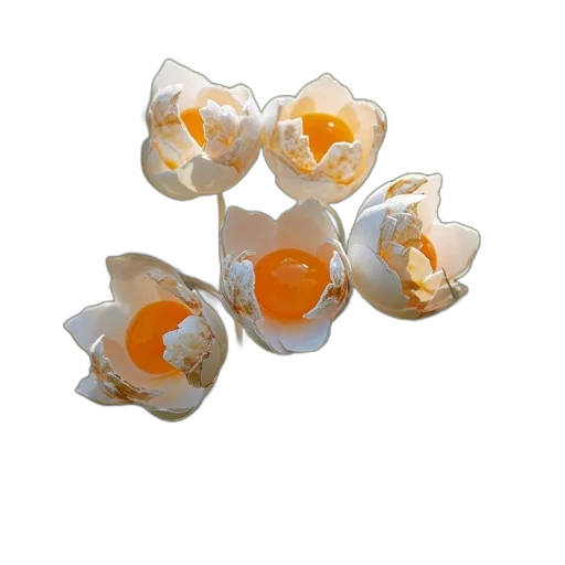 jewelry, food, crown, flower transparent PNG cut-out