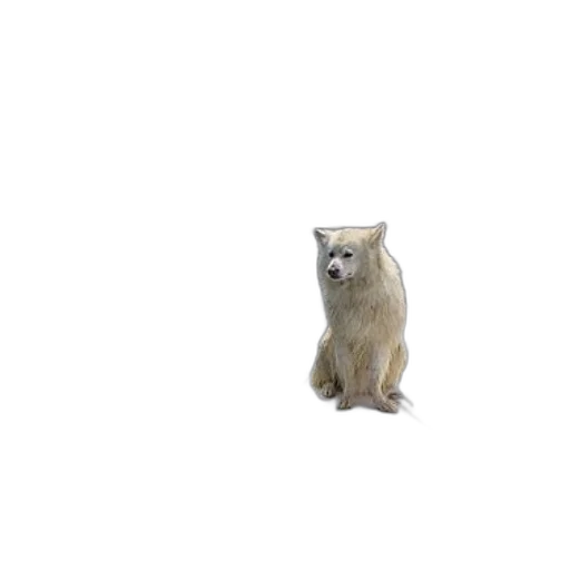 animal, creature, staff, robot transparent PNG cut-out