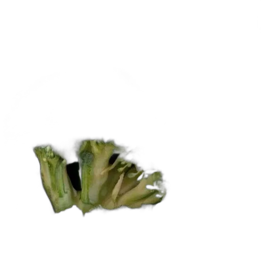 food, flower, crown, weapon transparent PNG cut-out