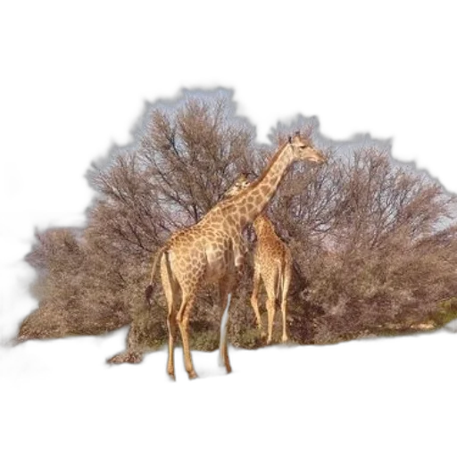 animal, creature, tree, dragon transparent PNG cut-out