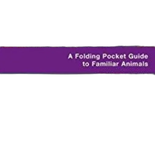 folding, pocket, guide, familiar transparent PNG cut-out