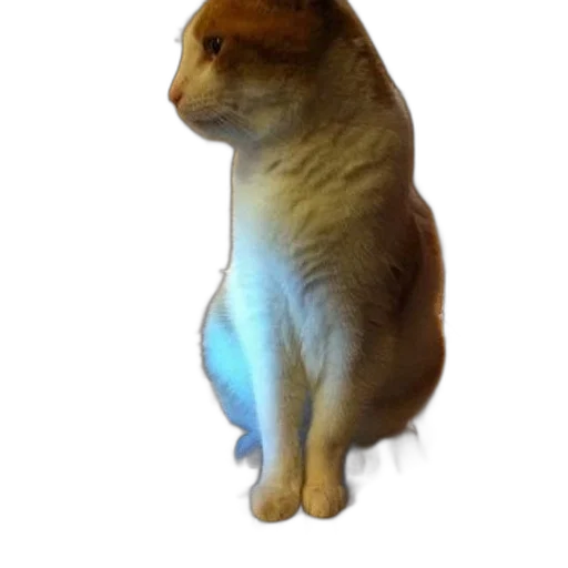 animal, staff, creature, hat transparent PNG cut-out