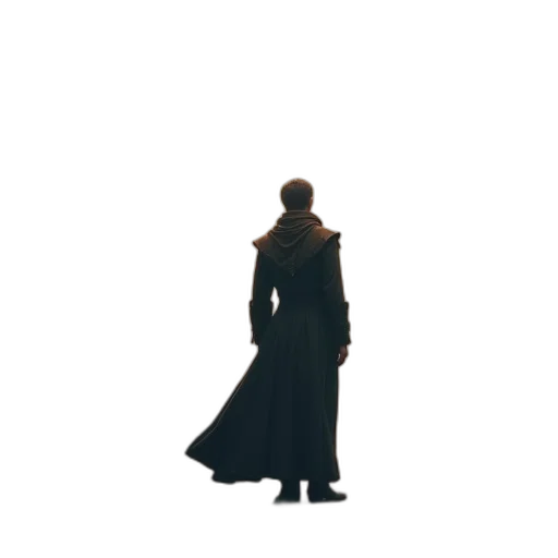 jacket, staff, weapon, sword transparent PNG cut-out