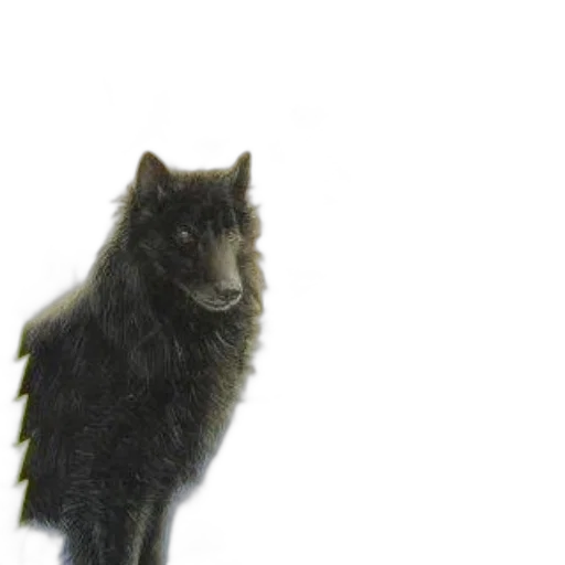 animal, creature, staff, dragon transparent PNG cut-out