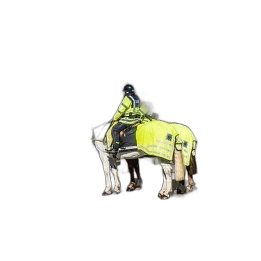 animal, staff, concept art, 3d render transparent PNG cut-out