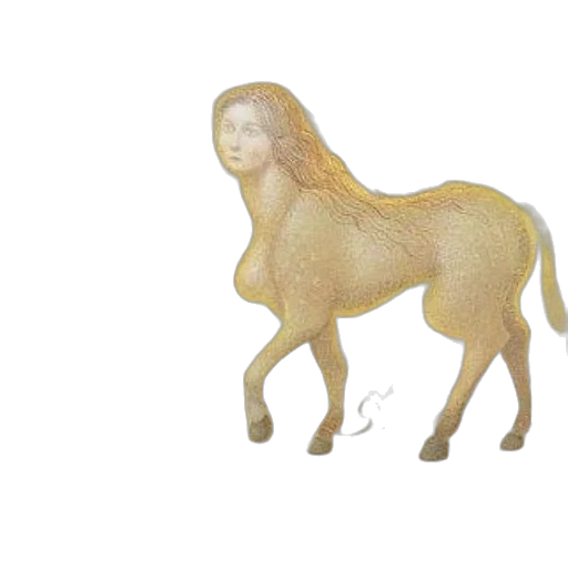 animal, creature, hair, dress transparent PNG cut-out