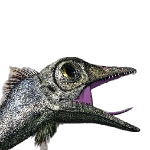 dragon, creature, animal, staff transparent PNG cut-out