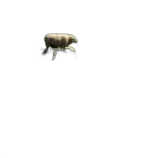 animal, creature, food, robot transparent PNG cut-out