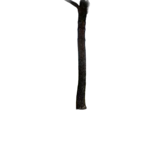 staff, weapon, sword, hair transparent PNG cut-out