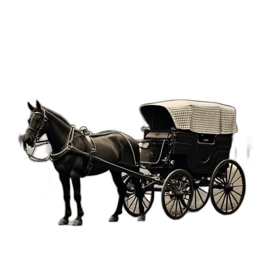 car, staff, animal, furniture transparent PNG cut-out