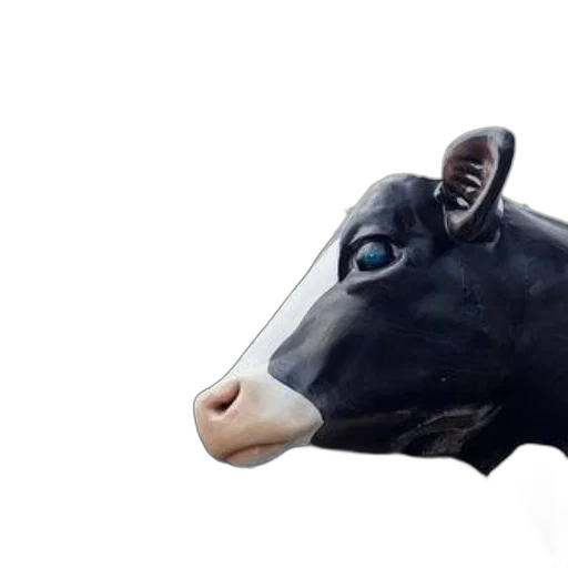mask, animal, face, jewelry transparent PNG cut-out