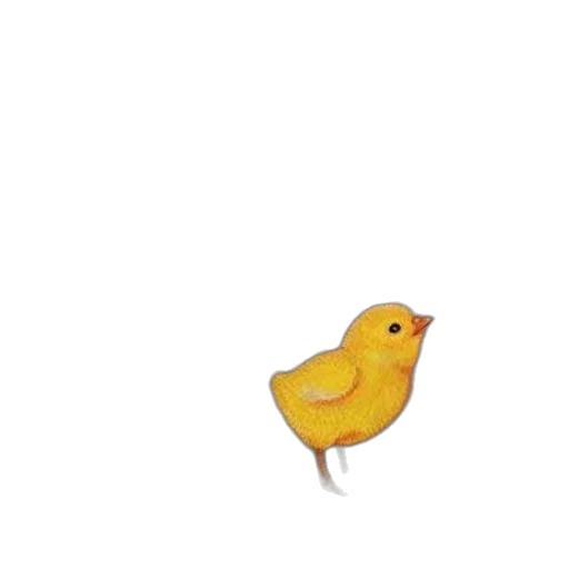 animal, food, creature, dress transparent PNG cut-out