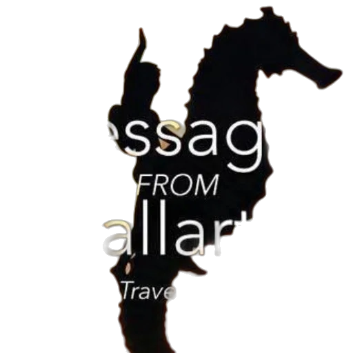 messages, vallarta, traveler, series transparent PNG cut-out