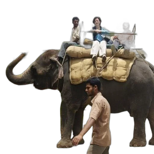 animal, staff, concept art, earth tones transparent PNG cut-out