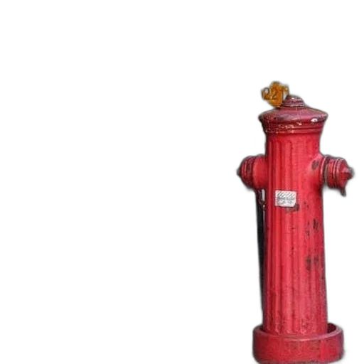 bottle, staff, animal, dress transparent PNG cut-out