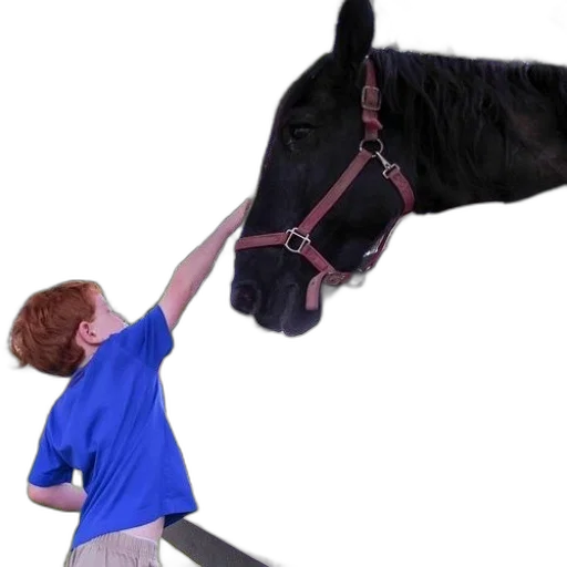 animal, staff, creature, weapon transparent PNG cut-out
