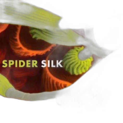 mask, 3d render, concept art, spider transparent PNG cut-out