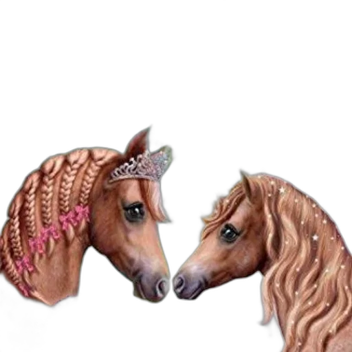 hair, jewelry, animal, hat transparent PNG cut-out