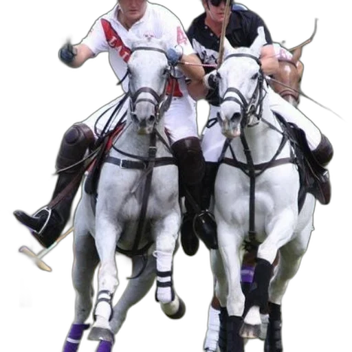 staff, two, men, white transparent PNG cut-out