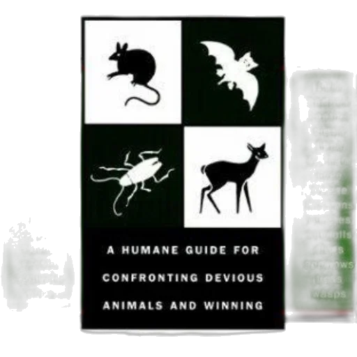 animal, book, cover, green transparent PNG cut-out